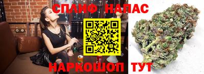 MESCALINE Ярославль