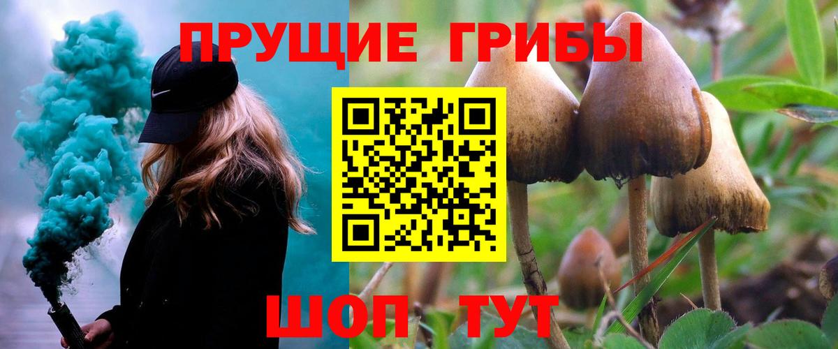 Псилоцибиновые грибы GOLDEN TEACHER Королёв